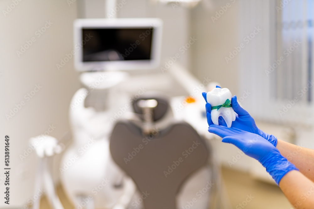 Professional dentistry holding plastic sample. Tooth sample in hands.