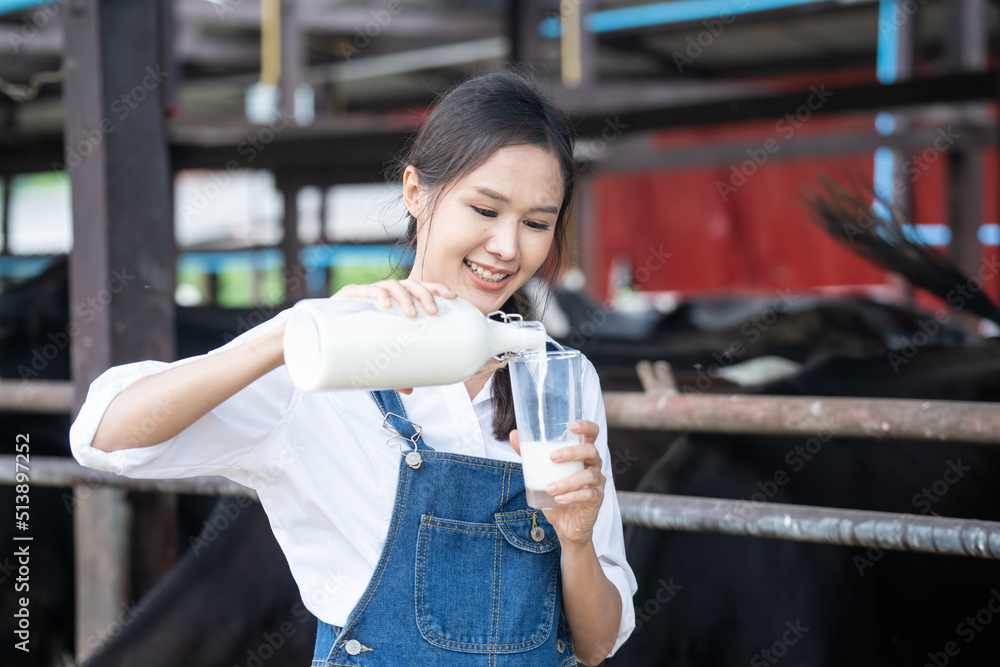 亚洲女奶农在畜牧场喝牛奶