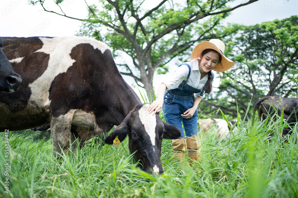 Attractive Asian dairy farmer woman working alone outdoors in farm. 