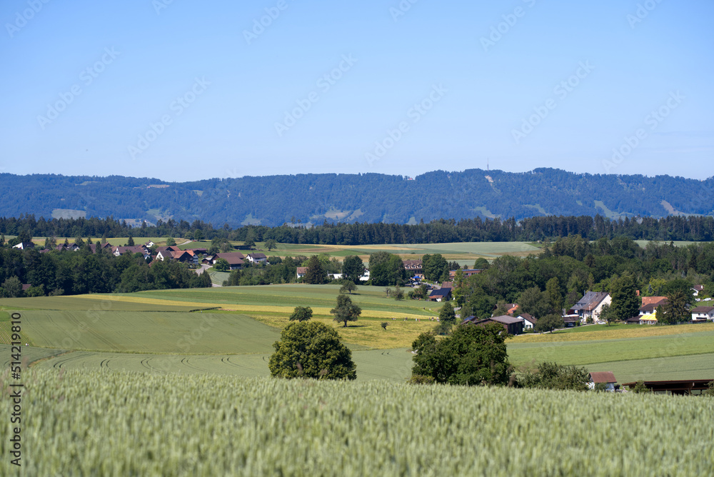 Scenic rural landscape at Forch Küsnacht with mountain panorama in the background on a sunny summer 