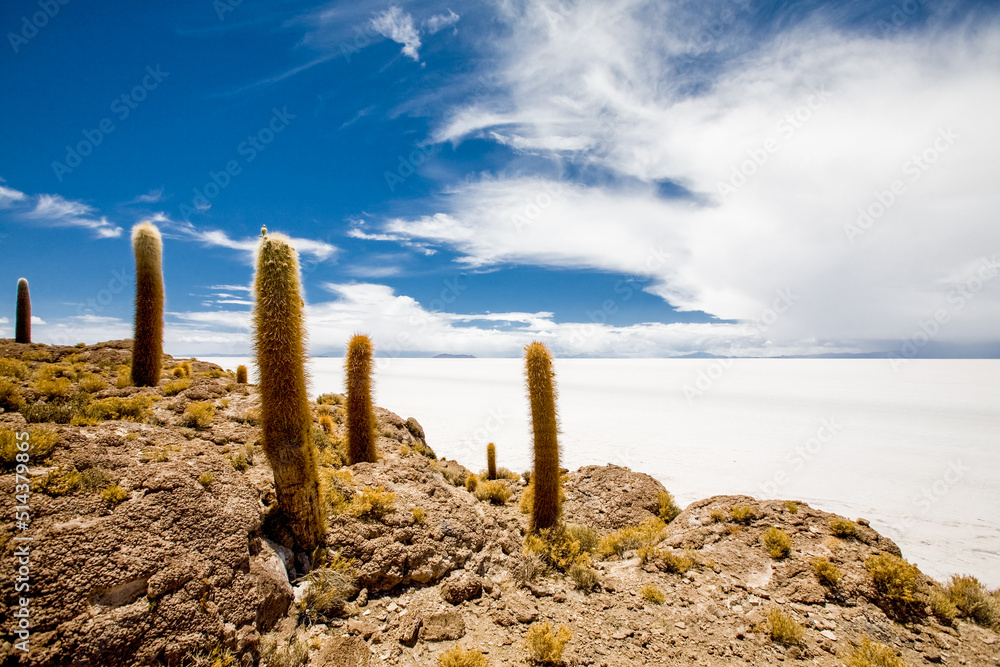 Bolivia. Salt lake and salt flat Salar de Uyuni, Bolivia. South America nature