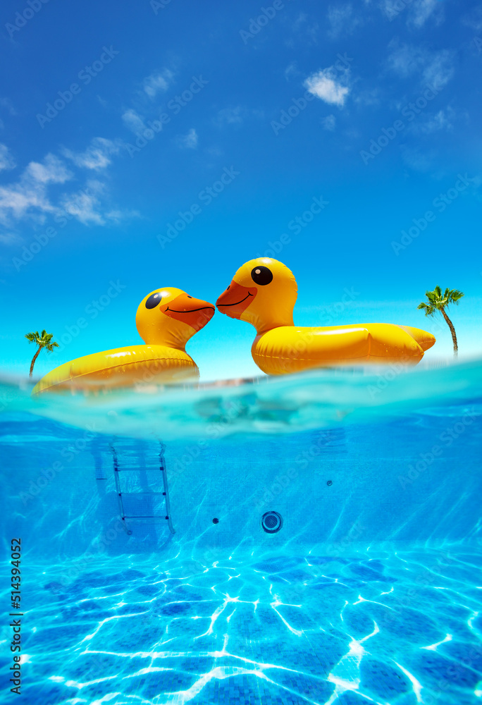 Two kissing half inflatable swimming ducks underwater split shot