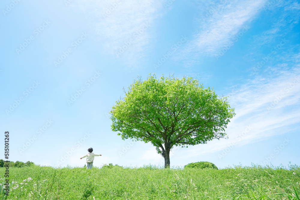 一本の木のある草原で手を広げる子供