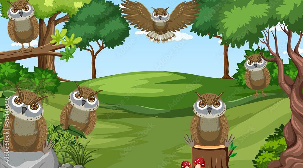 Owl birds in the forest scene