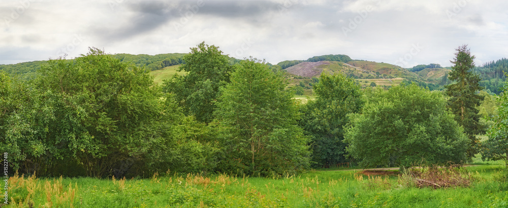 Wide green landscape of trees and grass. Lush field on a cloudy day outside. Rural farm land with hi