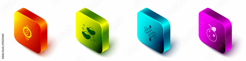 Set Isometric Chinese paper lantern, fortune cookie, and Peach fruit nectarine icon. Vector