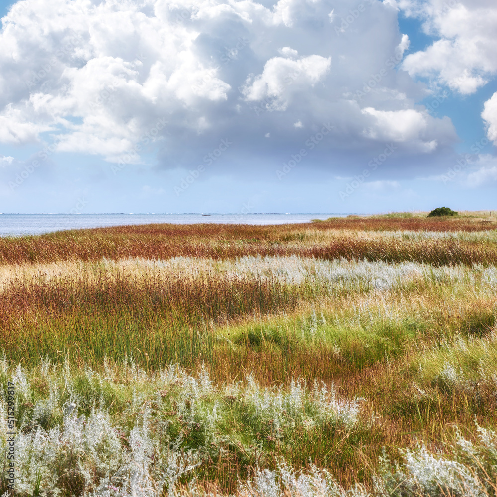 Beautiful scenic landscape view of a lush green grassy meadow with white fluffy clouds in a blue sky