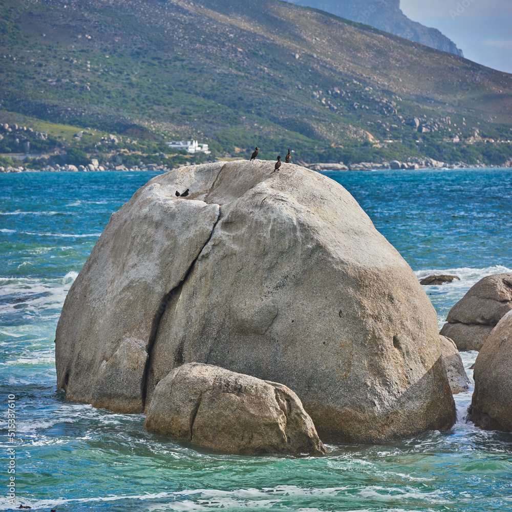 海景，蓝色海水和野生鸟类栖息在坎普斯湾海滩的巨石和岩石上。