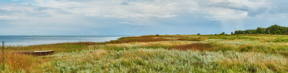 郁郁葱葱的绿色草地和蓝天中蓬松的白云的美丽风景。Cl