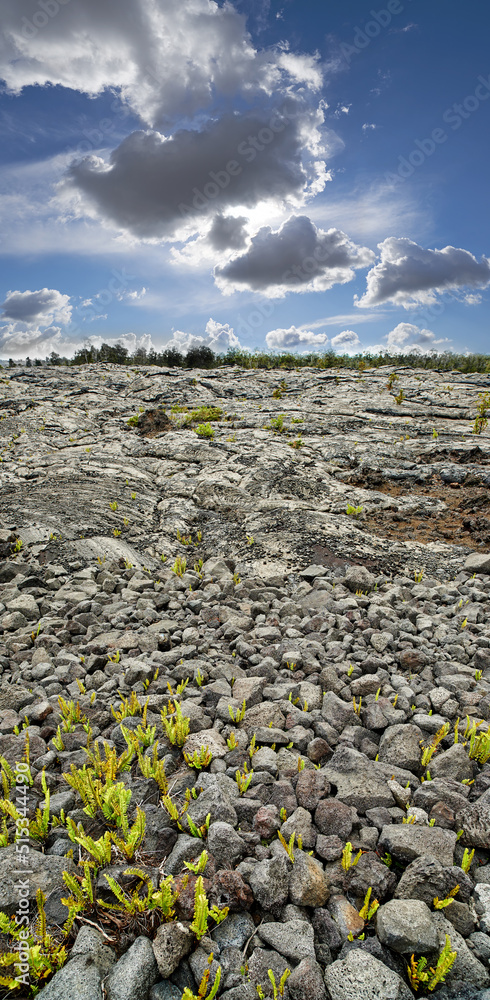 Landscape of cooled lava flow with copy space, Big Island, Hawaii. Scenic view of Mauna Kea, a dorma