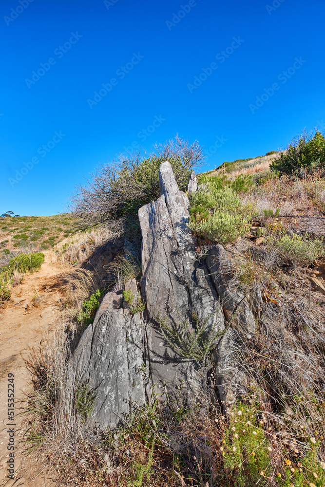 桌山上的偏远山地徒步小径。被灌木丛包围的隐蔽山地徒步小径