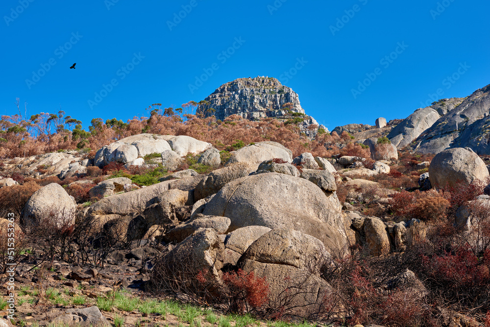 山火后山上的岩石有复制空间。被野火破坏，造成环境破坏