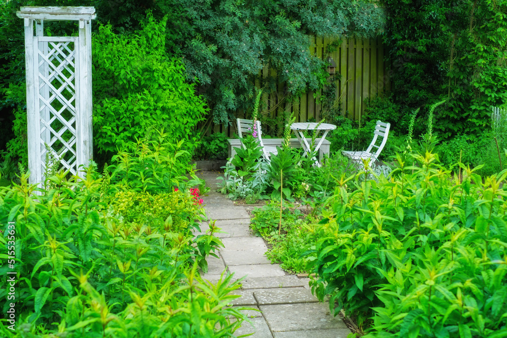 A beautiful lush green garden with a table and chairs in a backyard on a summers day. Vibrant park w