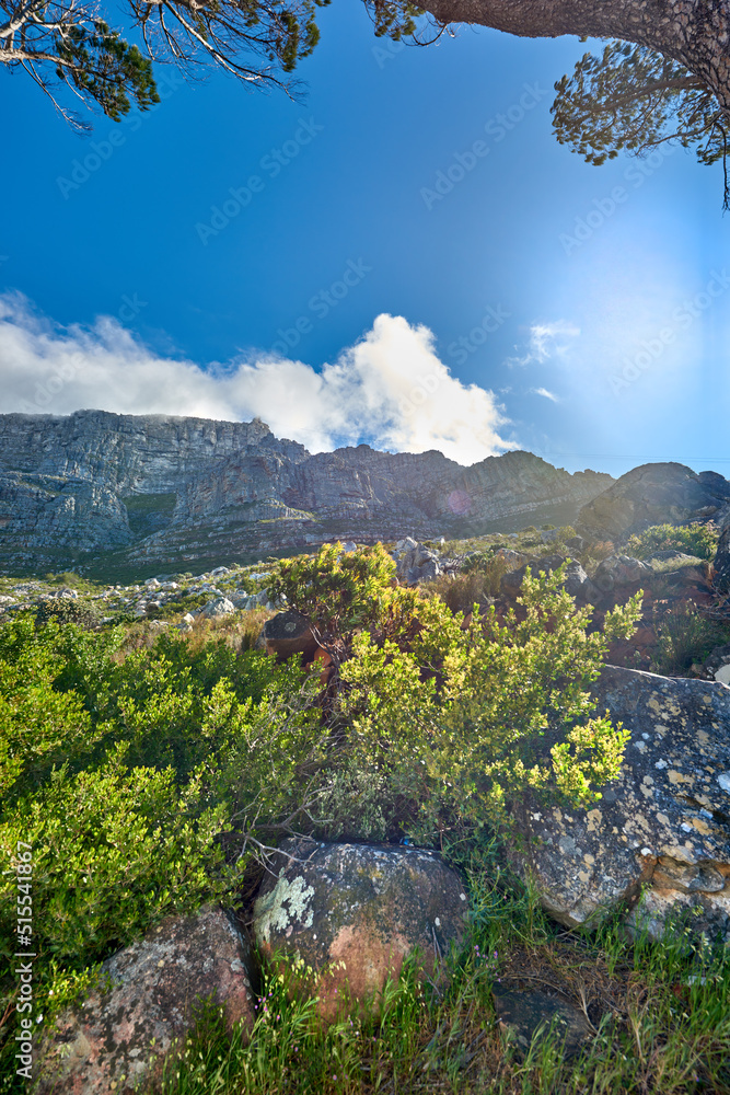 Copy space with landscape of Table Mountain in Cape Town against a cloudy blue sky background from b