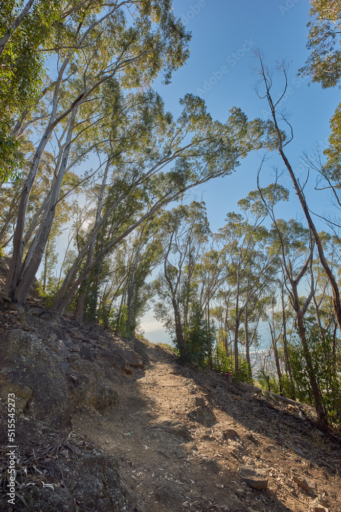 开普敦桌山附近耕地附近的山地步道低角度。用于