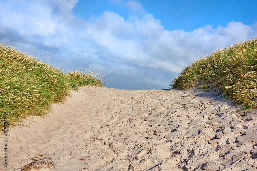 Closeup of a sand path with lush green grass growing on the west coast beach of Jutland, Denmark. Be