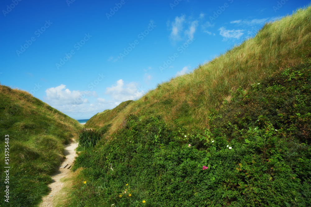 美丽的风景，有一条小路，清新的绿草，蓝天背景。宁静而美丽的vi