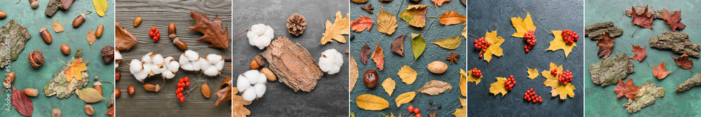 Collage with many autumn leaves, berries and acorns, top view