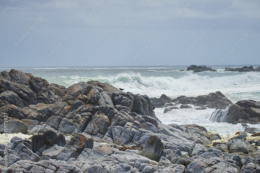 南非开普省的岩石海岸线。海浪在阳光下拍打海岸岩石