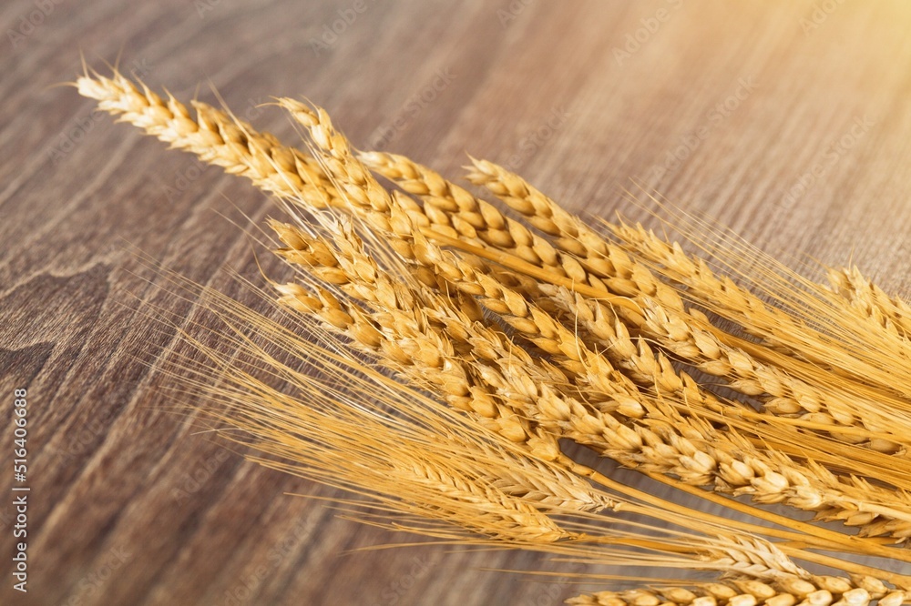 Bunches of wheat ears on the desk. Whole grains.