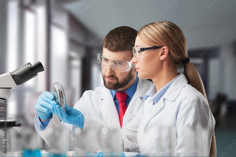 science research, work and people concept, scientist with microscope working in laboratory