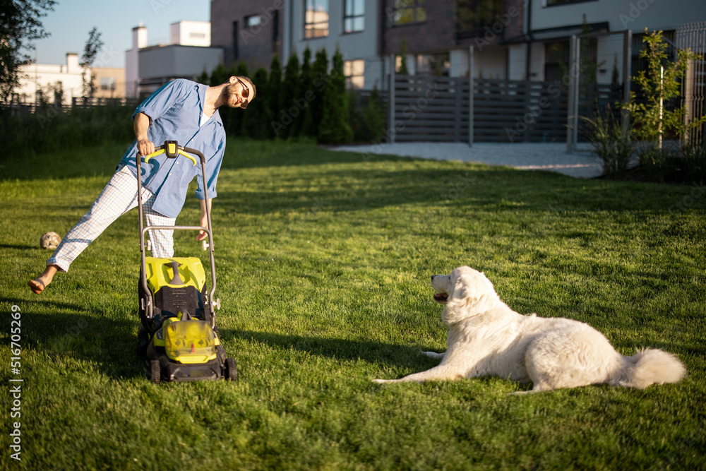 Man plays with a dog while moving lawn with a lawn mower at backyard of country house. Husband spend