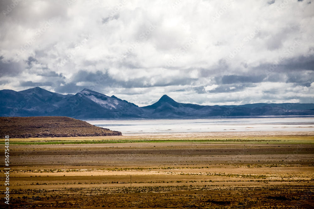 Landscape of Bolivia prairie. Nature of Altiplano, South America