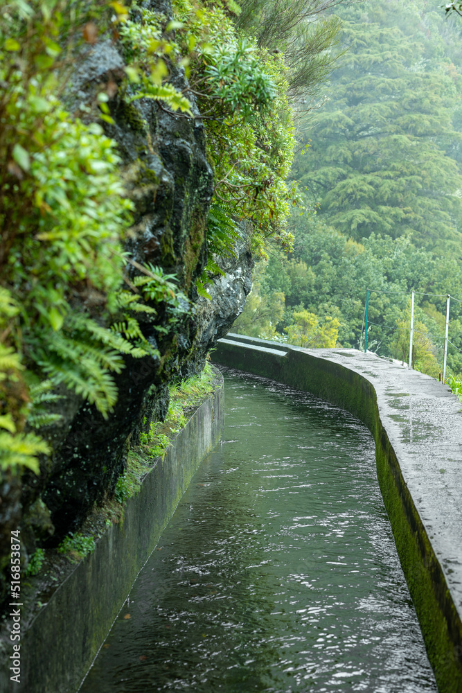 美丽的马德拉风景