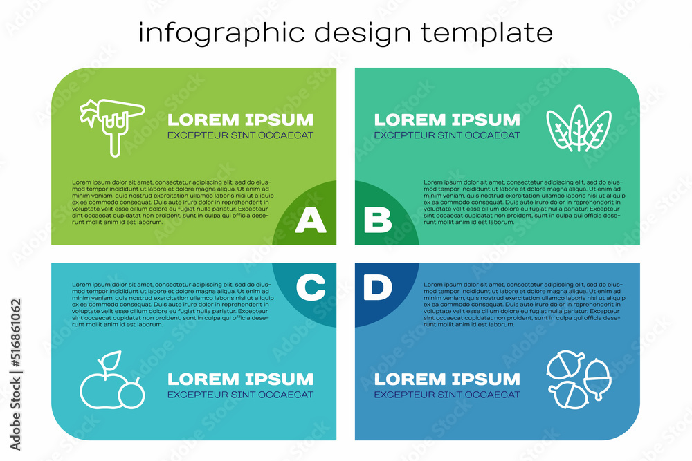 设定线苹果、胡萝卜、橡子和树叶。商业信息图模板。矢量