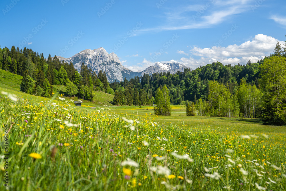 Idyllic alpine landscape in Austria, Heutal, Unken, Pinzgau, Salzburger Land, Austria, Europe