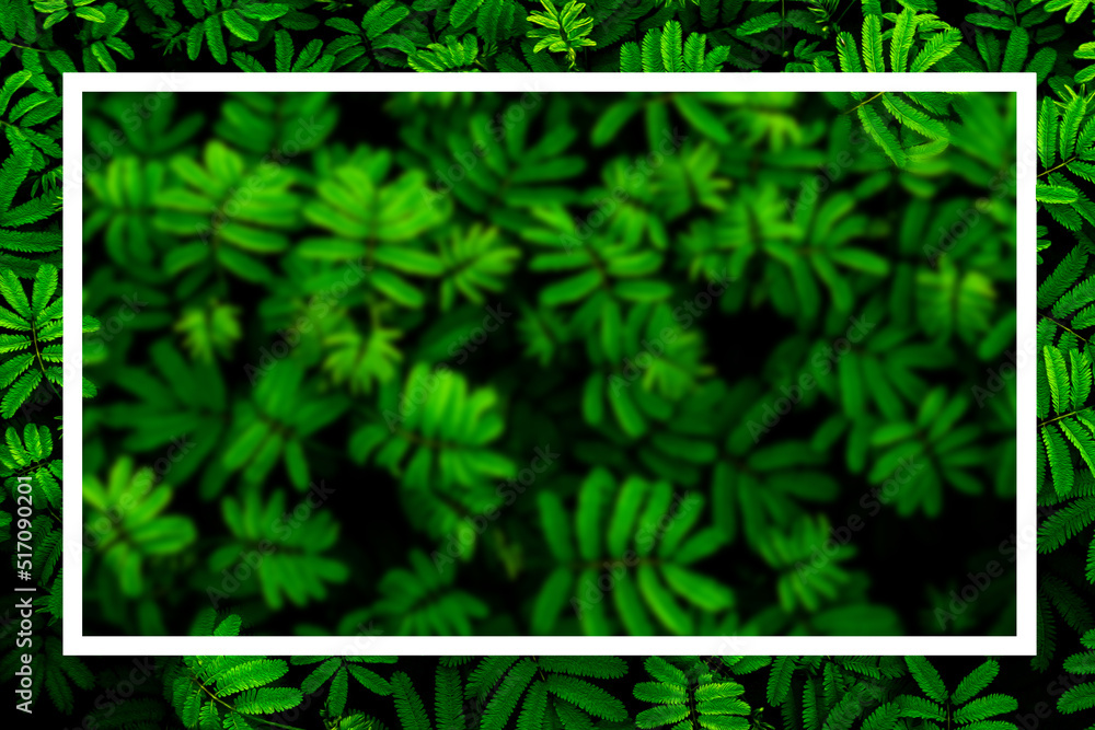 green abstract texture with dark light, natural background, tropical leaves in Asia and Thailand. Se