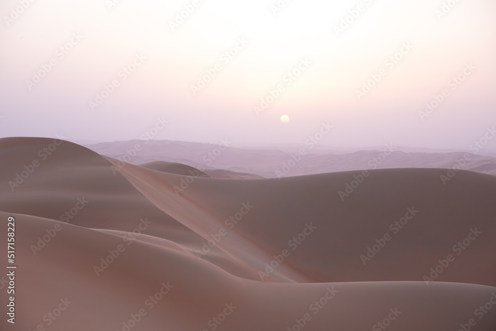 Quintessential desert landscape during sunrise hours.