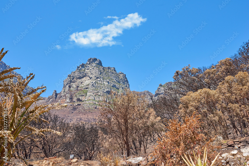 南非西开普省开普敦十二使徒的风景。民粹主义的风景