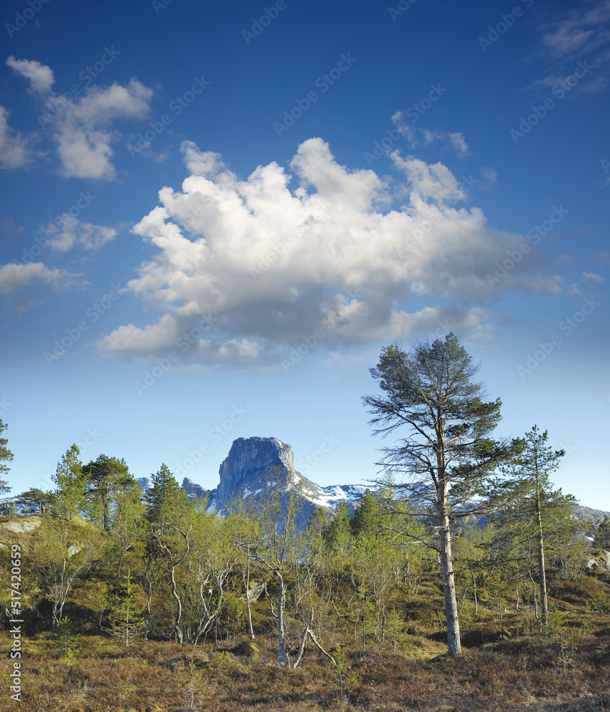 早春群山中的林木，多云的蓝天背景。