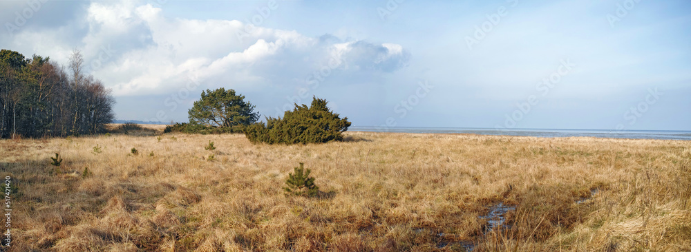 A scenic autumn landscape of a brown meadow, trees and bushes with a clear blue sky. Field with mars