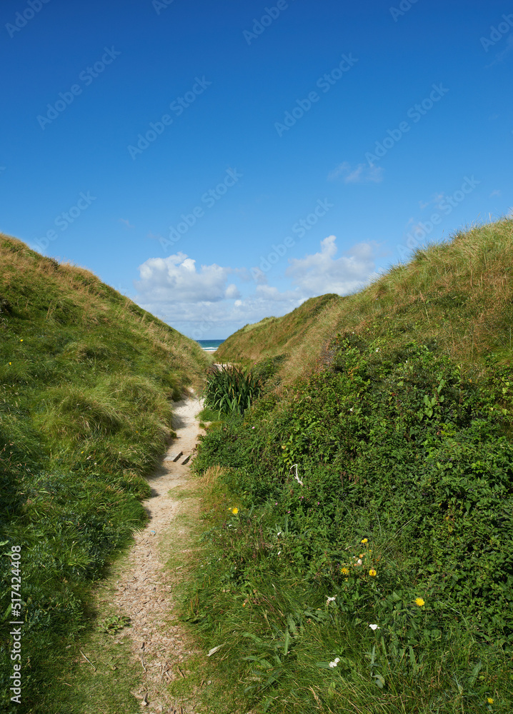 美丽的风景，在长满草的山丘之间有一条通往隐蔽处、隐蔽海滩或隐蔽处的秘密小路