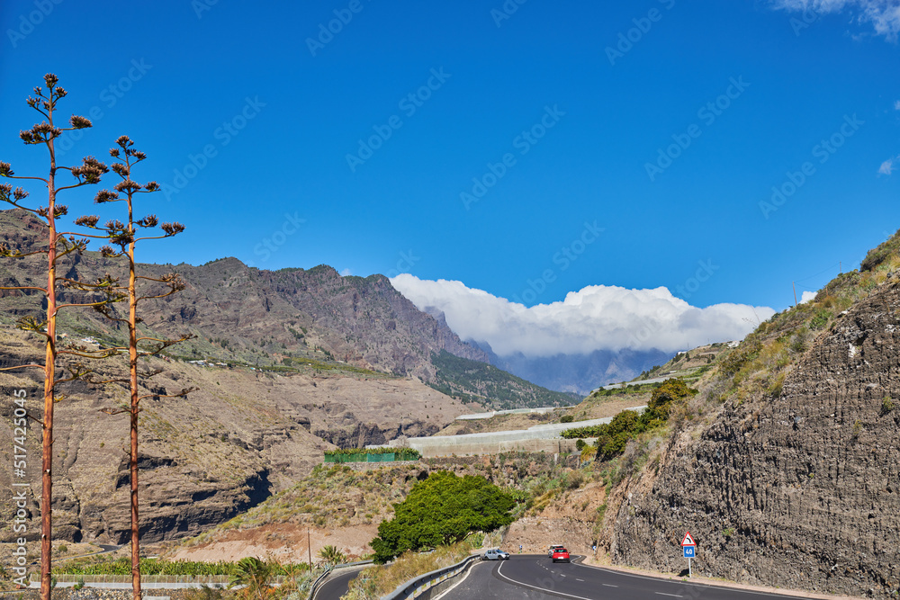 乡村柏油路的美丽景观，多云的蓝天和复制空间。带ca的道路