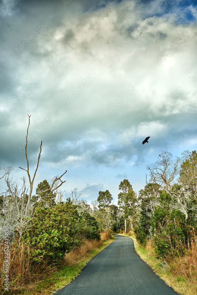 Road through Landscape at Mauna Kea - the most active volcano in Hawaii, Big Island, Hawaii, USA. A 