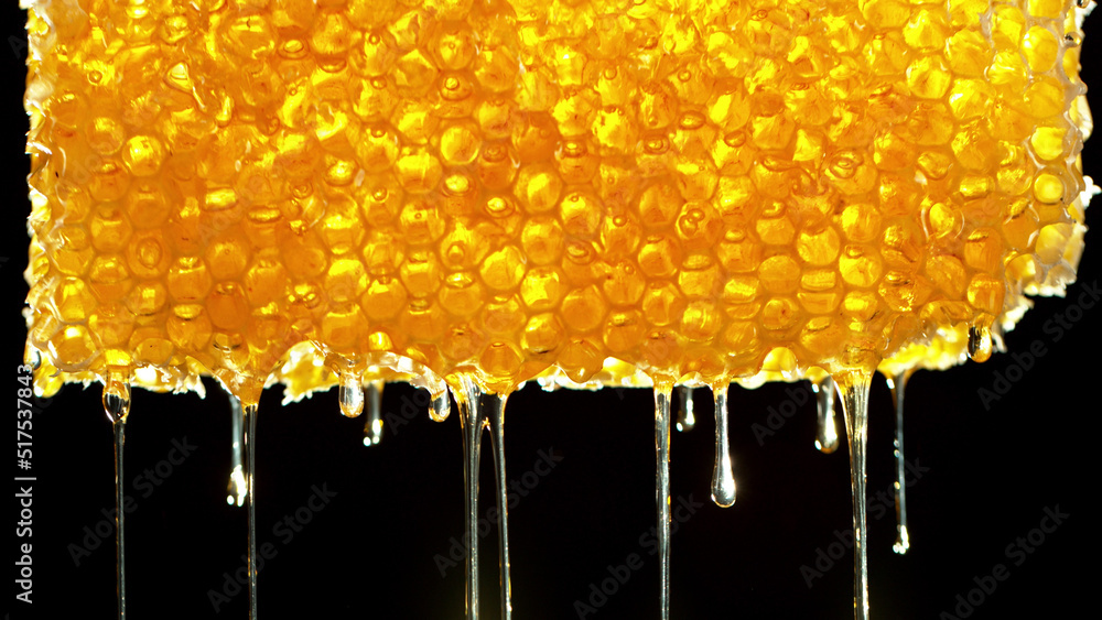 Honey dripping from honey comb on black background.