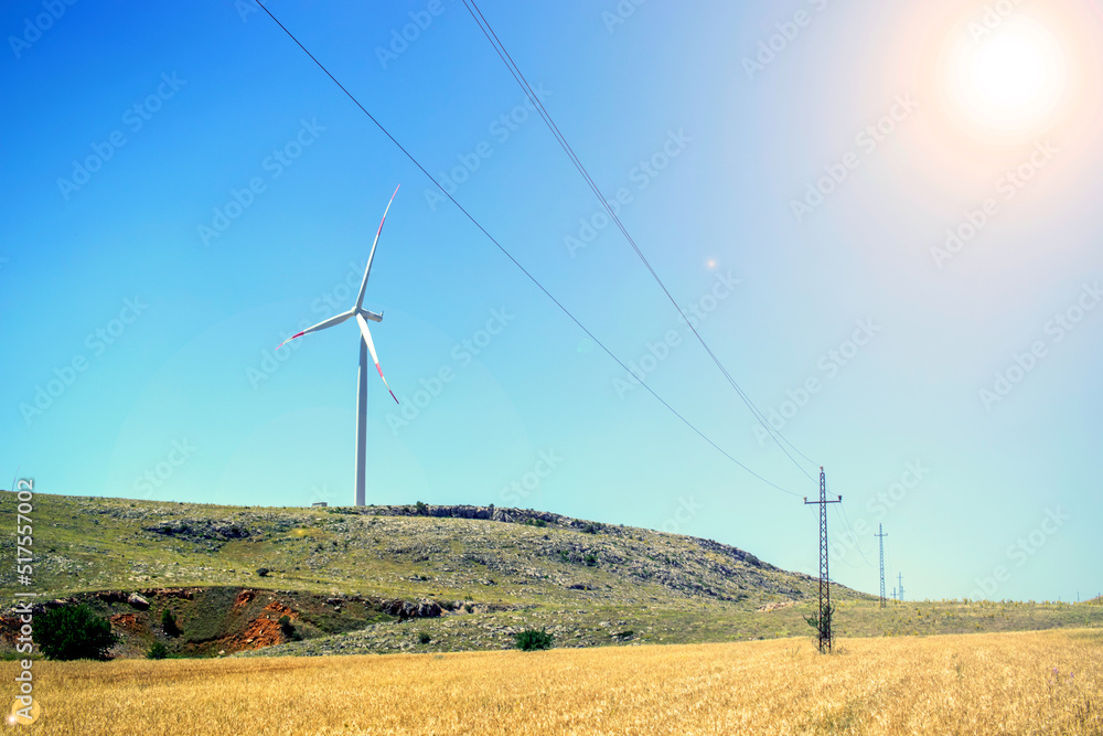 wind turbines in the field