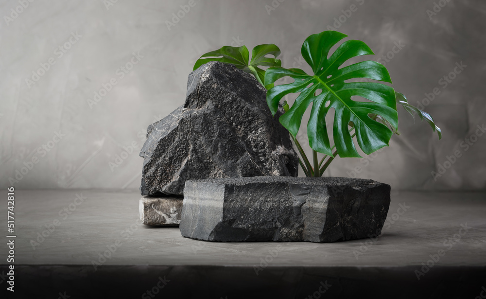 dark stone podium stage for show product with green Monstera tree house plant on concrete wall backg