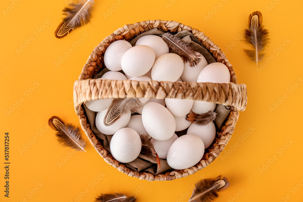 Basket with white chicken eggs and feathers on color background