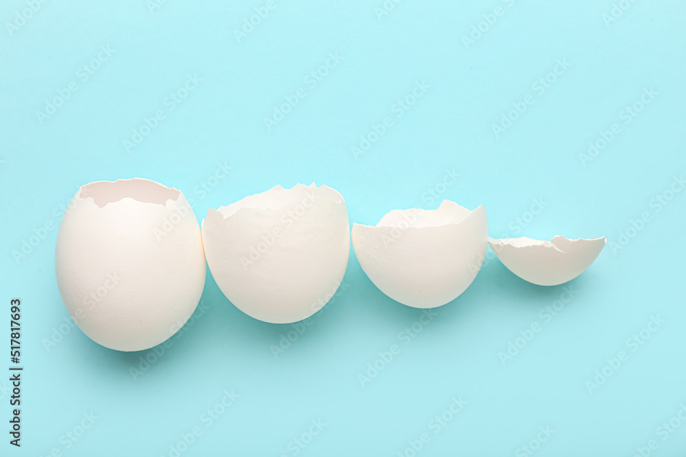 Composition with egg shells on color background