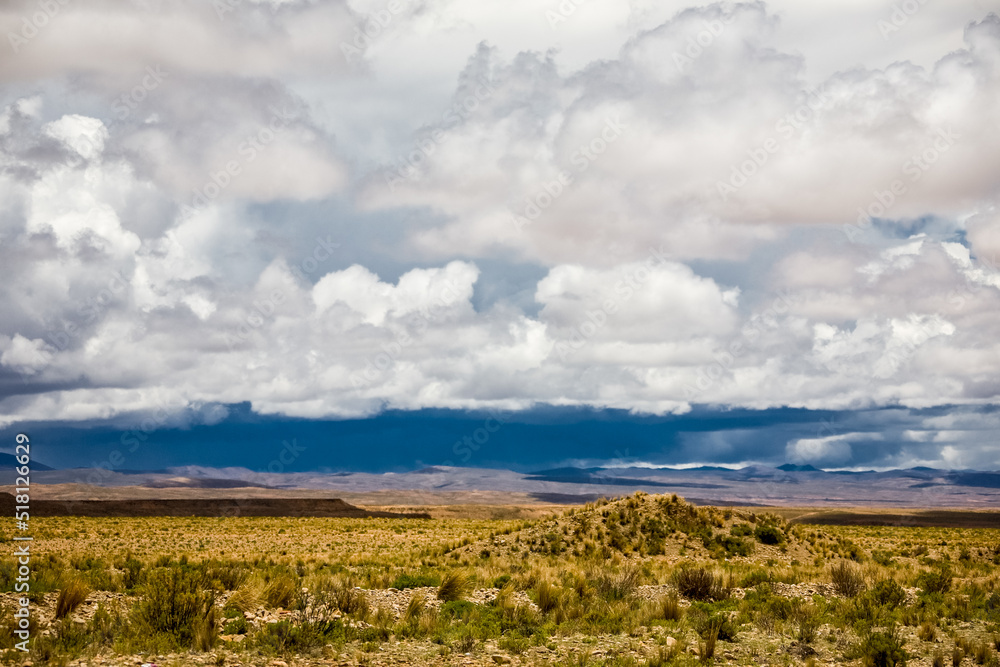 Desert and prairie of Bolivia. Landscapes of the LaPaz - Uyuni Road