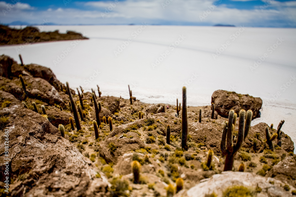 Bolivia. Salt lake and salt flat Salar de Uyuni, Bolivia. South America nature