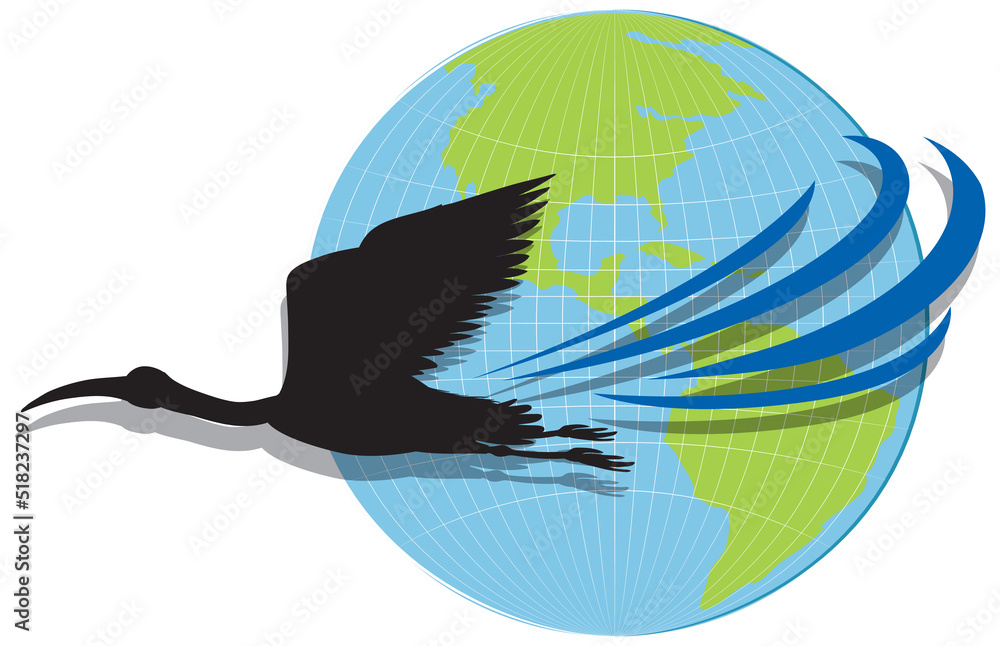 Silhouette stork bird flying on earth