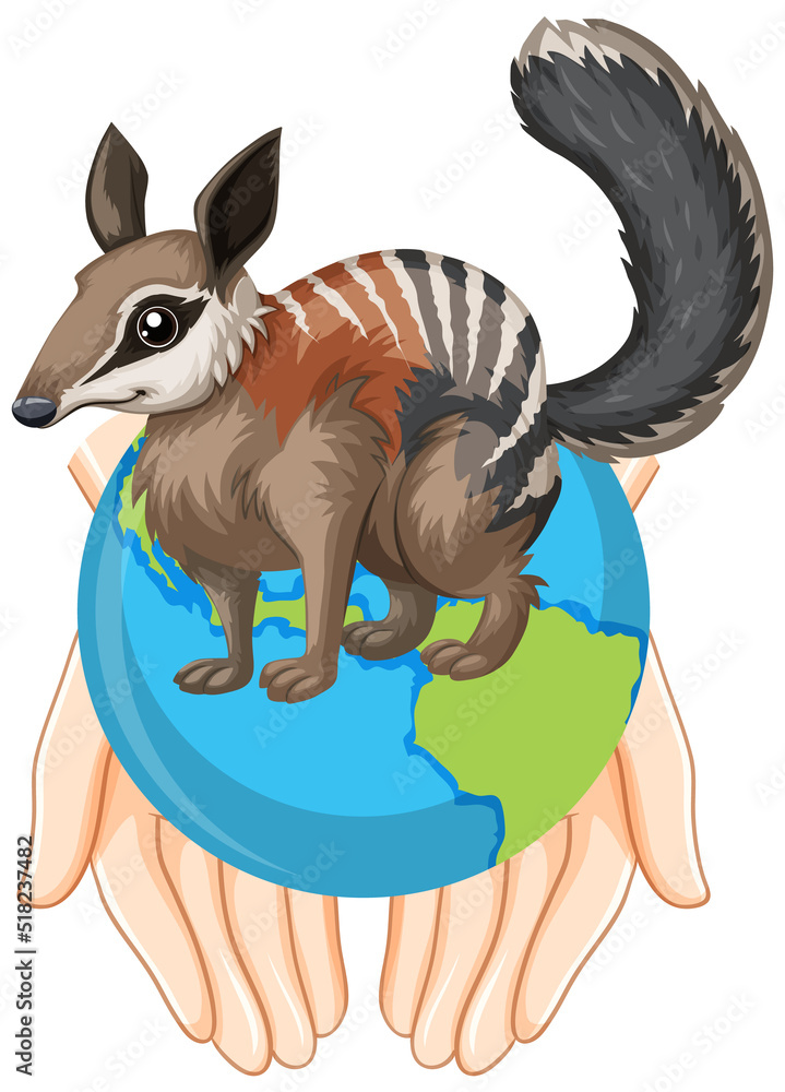 地球上的Numbat