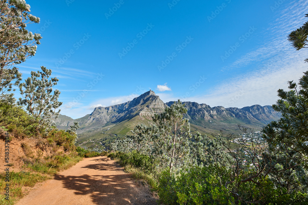 桌山在蓝天复制空间背景下的自然风景徒步旅行路线。坚固耐用