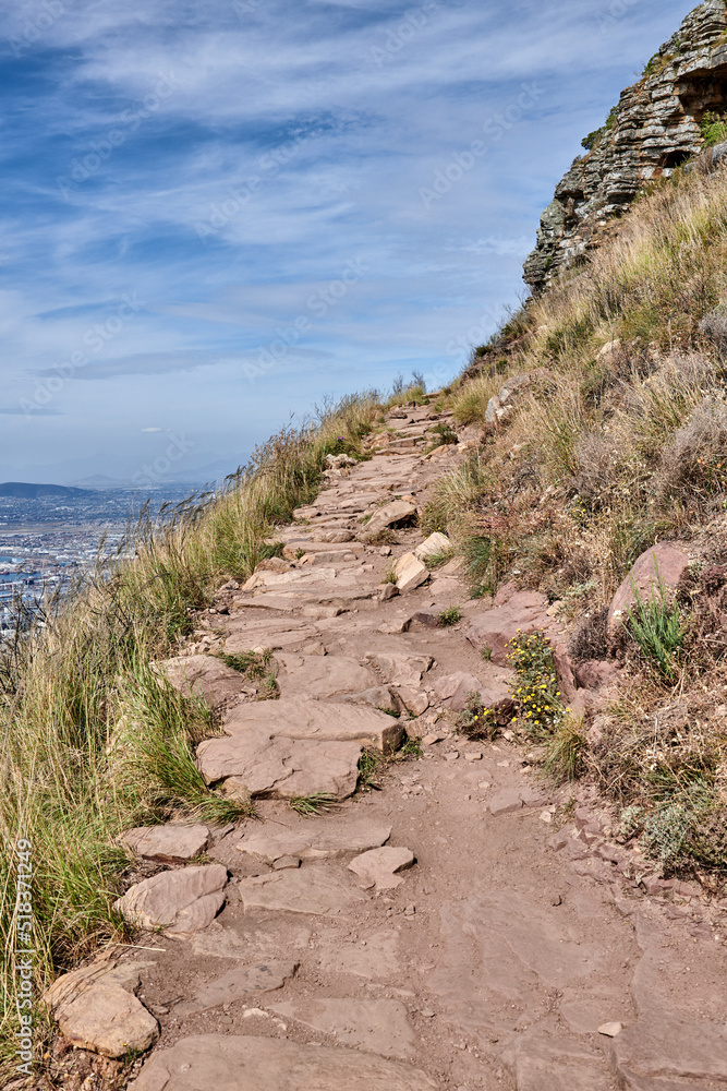 Trail on Table Mountain with vibrant, beautiful nature along a path. Trees and lush green bushes gro