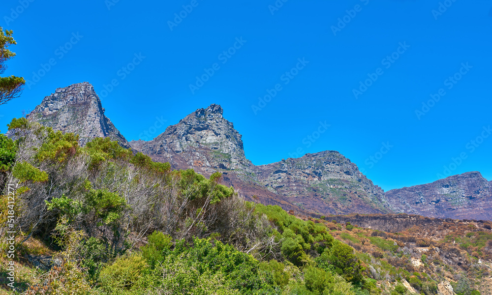 大自然中的植物和树木，夏季蓝天映衬下的山脉背景。风景优美。